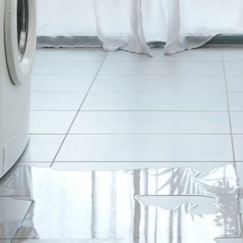 Appliance Leak Cleanup in Casa Grande, AZ